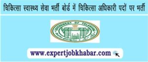 MHSRB Telangana Job Bharti 2023